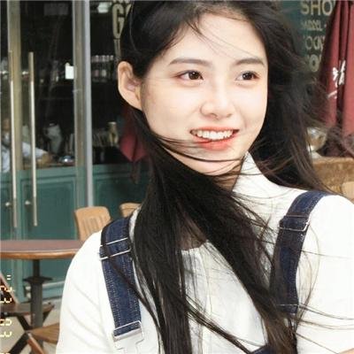 实习警犬物语 封面